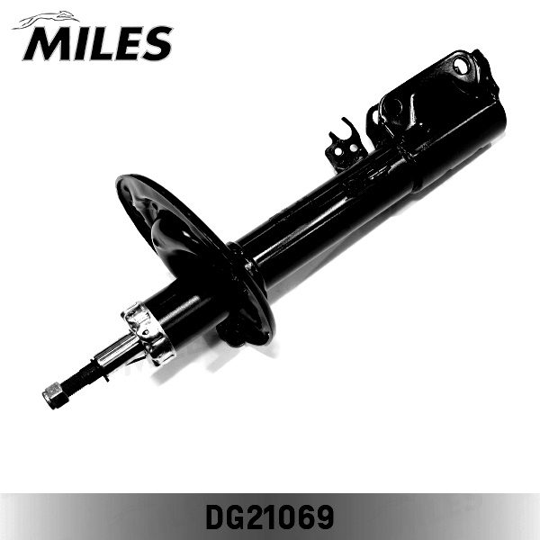 MILES DG21069