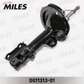 MILES DG2131301