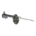 Zekkert SG6256 газовый