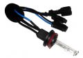Interpower H11 - 4300к