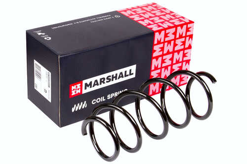 Пружина Marshall M8030250