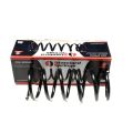 Standard Springs ST102082F подвески