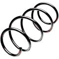 Standard Springs ST123075F металлическая Nissan