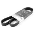 MILES 6PK1030E поликлиновой эластичный