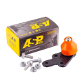 ASP RJ00017