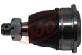 555 SB4981