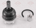 TATSUMI TEA1073 Toyota Land Cruiser