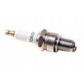 Torch F6RIU11 иридий, 1 шт.