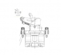 Trialli CF550116