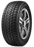 Delinte Winter WD1 205/55 R16 91H