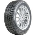 Delinte Winter WD52 нешип. 225/45 R17 94H