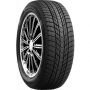 Легковая шина Roadstone WinGuard ice Plus 245/45 R17 99T