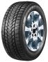 Легковая шина TRI-ACE Snow White II 285/35 R22 106H
