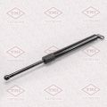 TATSUMI TAF1011