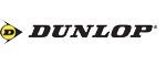 Шины для ледяных дорог от Dunlop прошли проверку