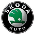 Skoda показала новую Octavia RS на фестивале скорости
