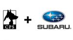 Subaru оплатит крэш-тесты для собак